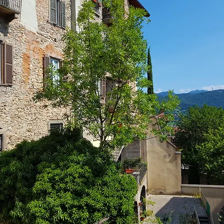 Alta Guest house 4*